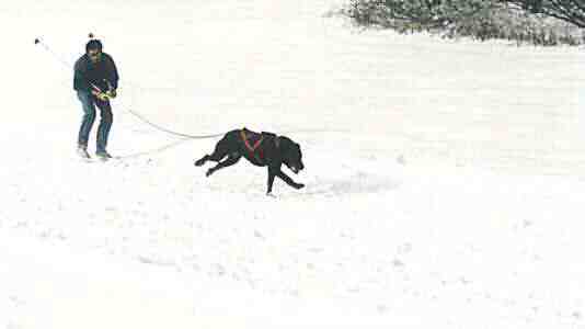 DIABOLO des Fugues de St-Alban
