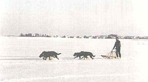 FEERIQUE des Fugues de St-Alban