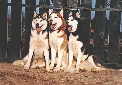 M�riter l'ob�issance