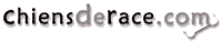 Chiens de race.com, Portail canin