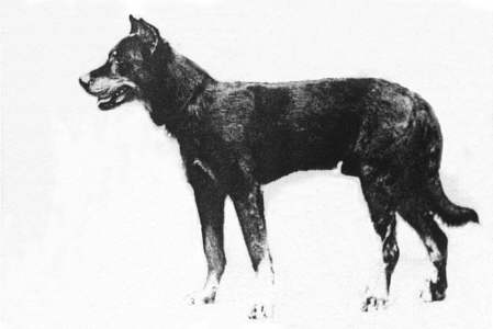 PERSAN du Val de Seine