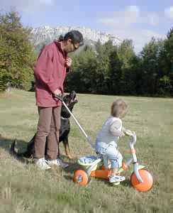 Un chien &agrave; sa place, et la vie est belle...