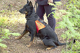 RA&Iuml;PUR des Fugues de St-Alban, Seach and Rescue, Finlande