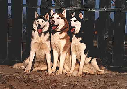 M&eacute;riter l'ob&eacute;issance... Clic pour agrandir