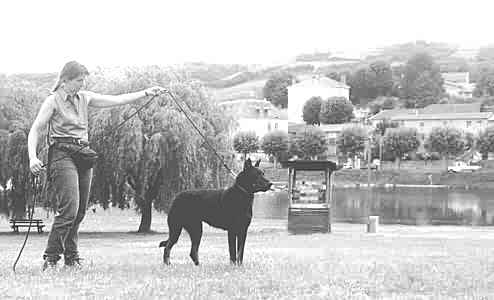 Margo pr�sente PIN-PON