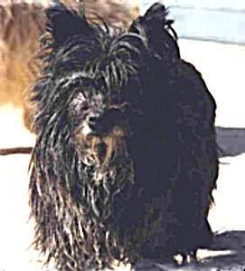 Ja�na de l'Outheran