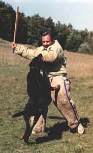 Les Fugues de Saint-Alban