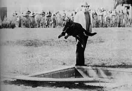 Trick du Plessis aux Tournelles