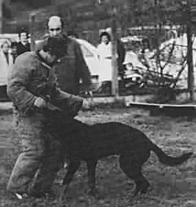 Trick du Plessis aux Tournelles