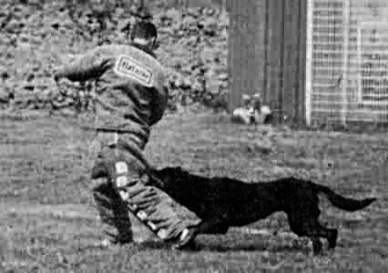 JO, Ucar de Kerambourg