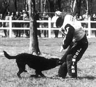 JO, Ucar de Kerambourg