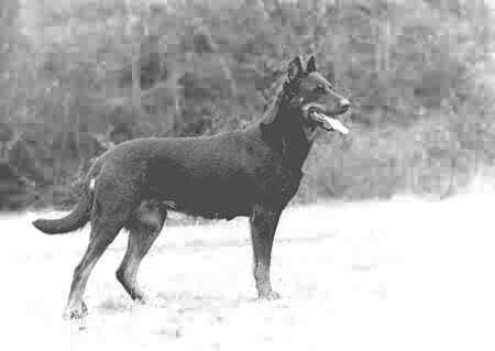 VIGA du lac Saint-F�r�ol