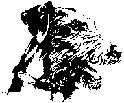  Dessin, portrait de chien