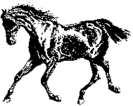 Dessin de cheval