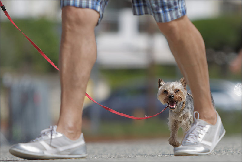 Yorkshire en vacances