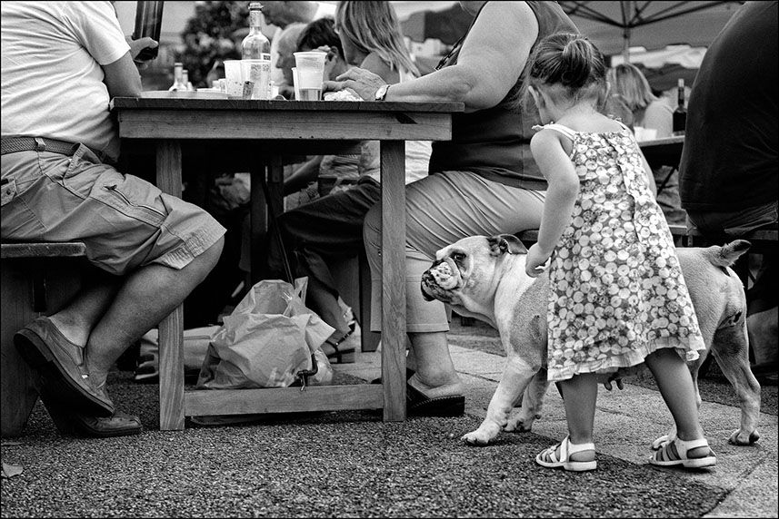 Bouledogue et enfant