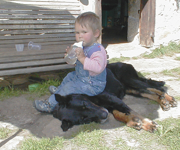 enfant assis sur un chien couché